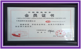 Member of China Foundry Association