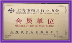 Member of Shanghai Mould Association